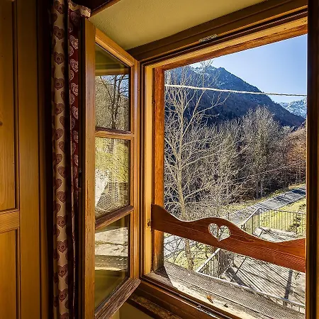 Mirtillo Alpino Oro
