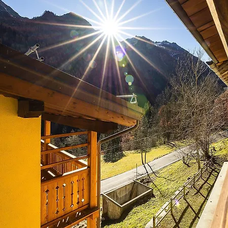 Mirtillo Alpino Oro
