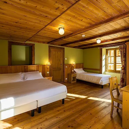 Mirtillo Alpino Oro