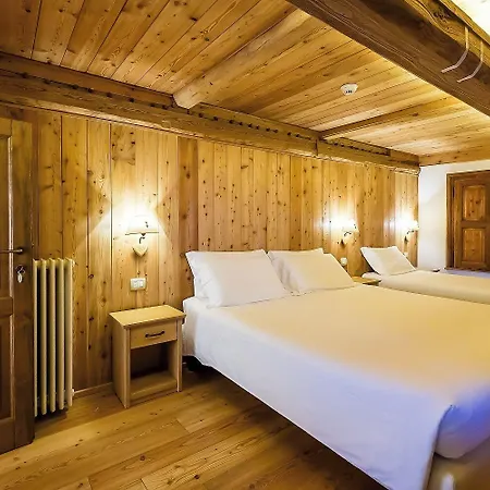 Mirtillo Alpino B&B Oro