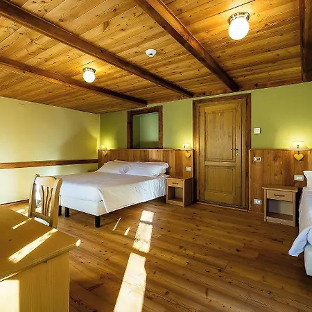 Mirtillo Alpino B&B Oro