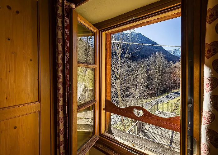 Mirtillo Alpino Oro